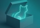 Locks, SOCs and a cat in a box: What Schrödinger can teach us about cybersecurity