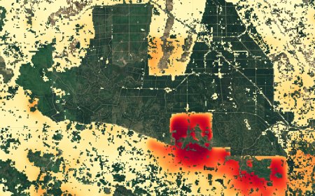 Forecasting the future of forests with AI: From counting losses to predicting risk