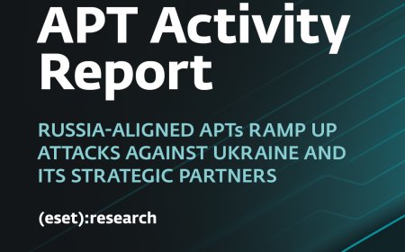 The big catch: How whaling attacks target top executives