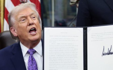 What comes next after Trump signs order blocking state AI rules?