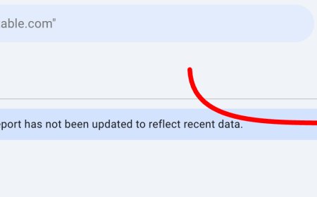 Google fixed month-long delay with page indexing report