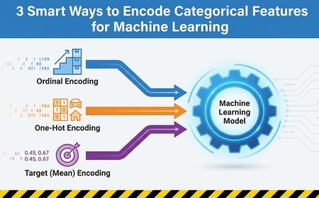 3 Smart Ways to Encode Categorical Features for Machine Learning