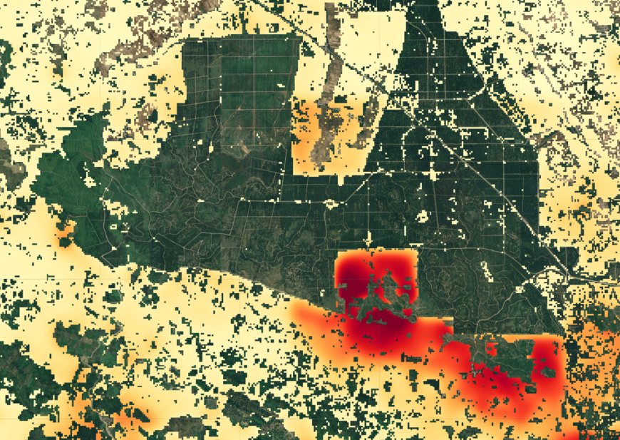 Forecasting the future of forests with AI: From counting losses to predicting risk