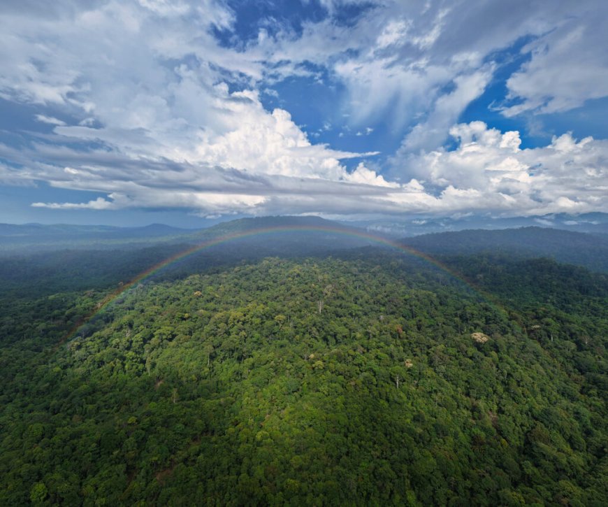 The value of news in the era of AI