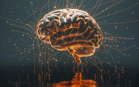 What Are the 3 Top Artificial Intelligence (AI) Stocks to Buy Right Now?