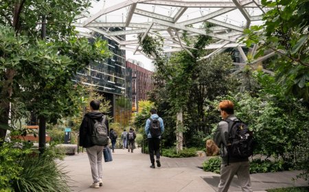 A shorter workweek can prevent AI-driven mass unemployment