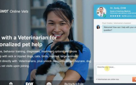 FTC accuses AI search engine of 'rampant consumer deception'