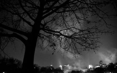 Retailers bring conversational AI and analytics closer to the user