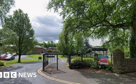 Royal School Armagh: Police investigate 'explicit' AI images