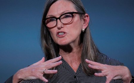 Tesla or Broadcom: Cathie Wood Trims One Top AI Stock While Betting Bigger on Another