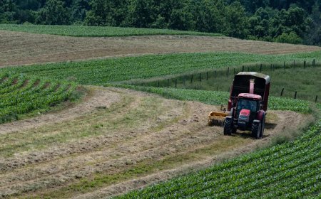 Local farmer fights back against massive AI company's concerning plans: 'That money can't buy happiness'