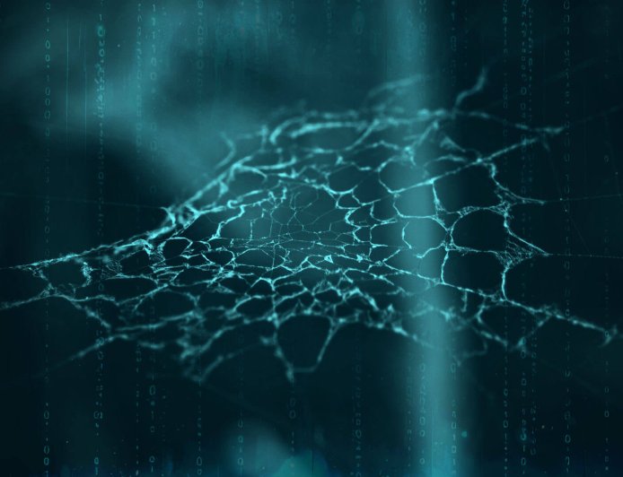 Your personal information is on the dark web. What happens next?