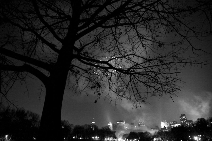 Retailers bring conversational AI and analytics closer to the user